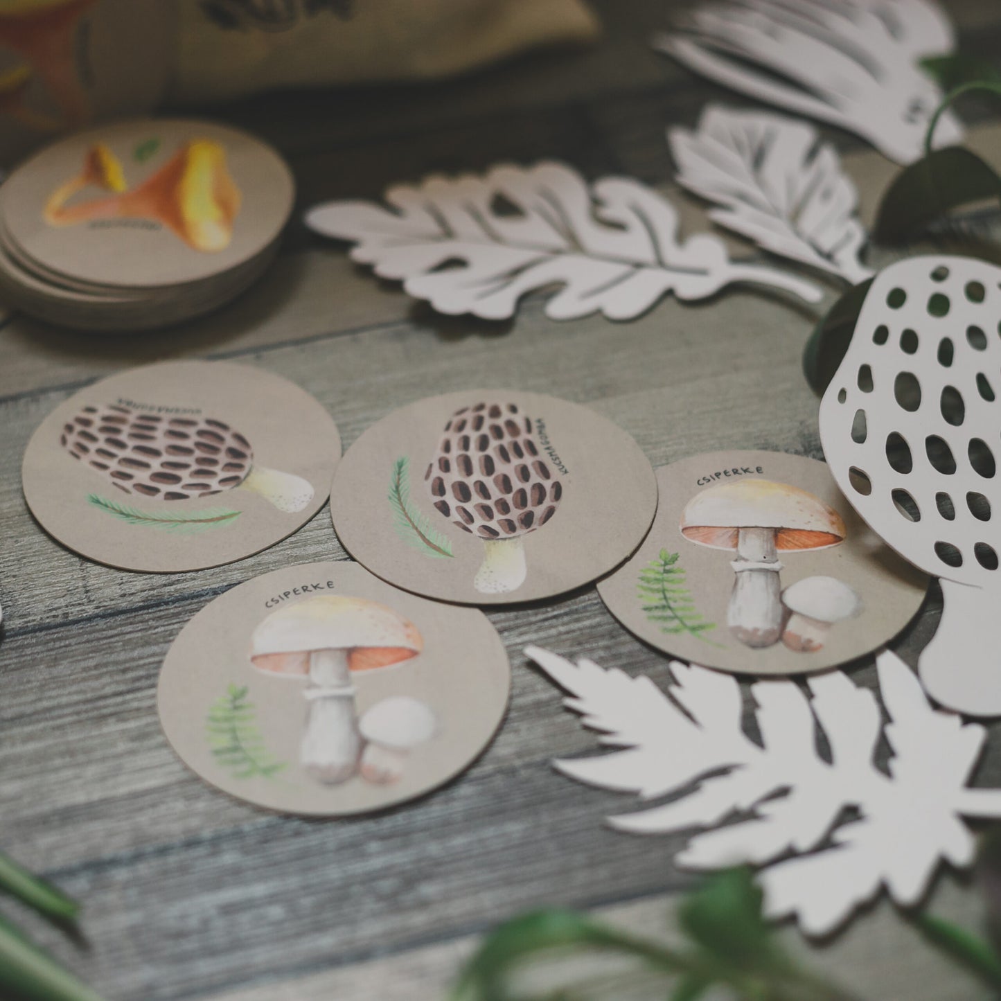 Ehető gombák párosító játék