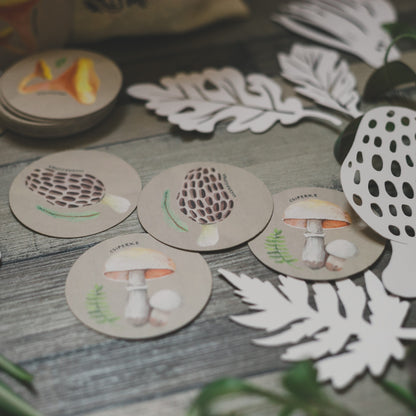 Ehető gombák párosító játék