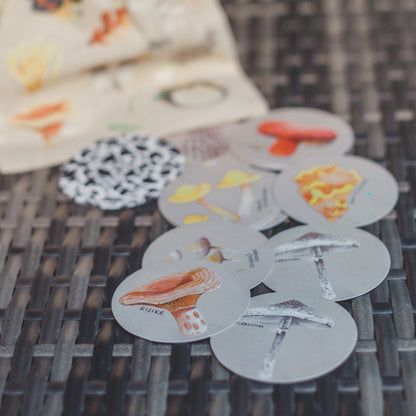 Ehető gombák párosító játék