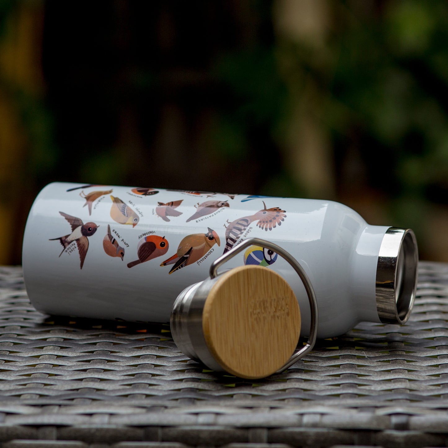 Hazai madarak Termosz