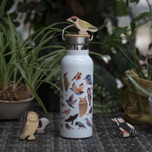 Hazai madarak Termosz