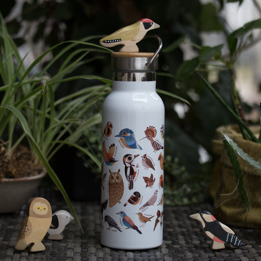 Hazai madarak Termosz