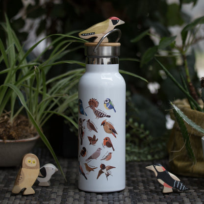 Hazai madarak Termosz