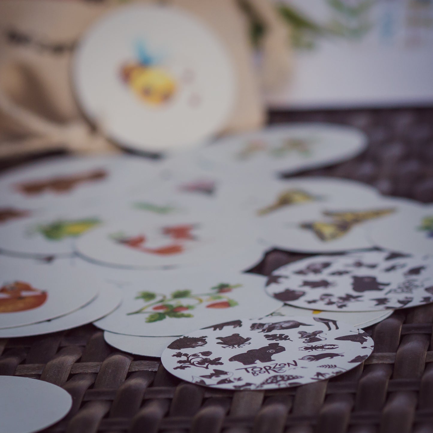 Erdei memória játék